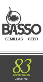 Basso Seeds